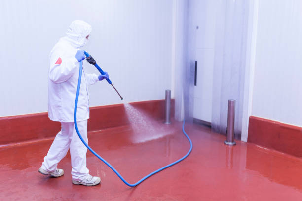 Best Sidewalk and Walkway Cleaning  in Flower Hill, MD